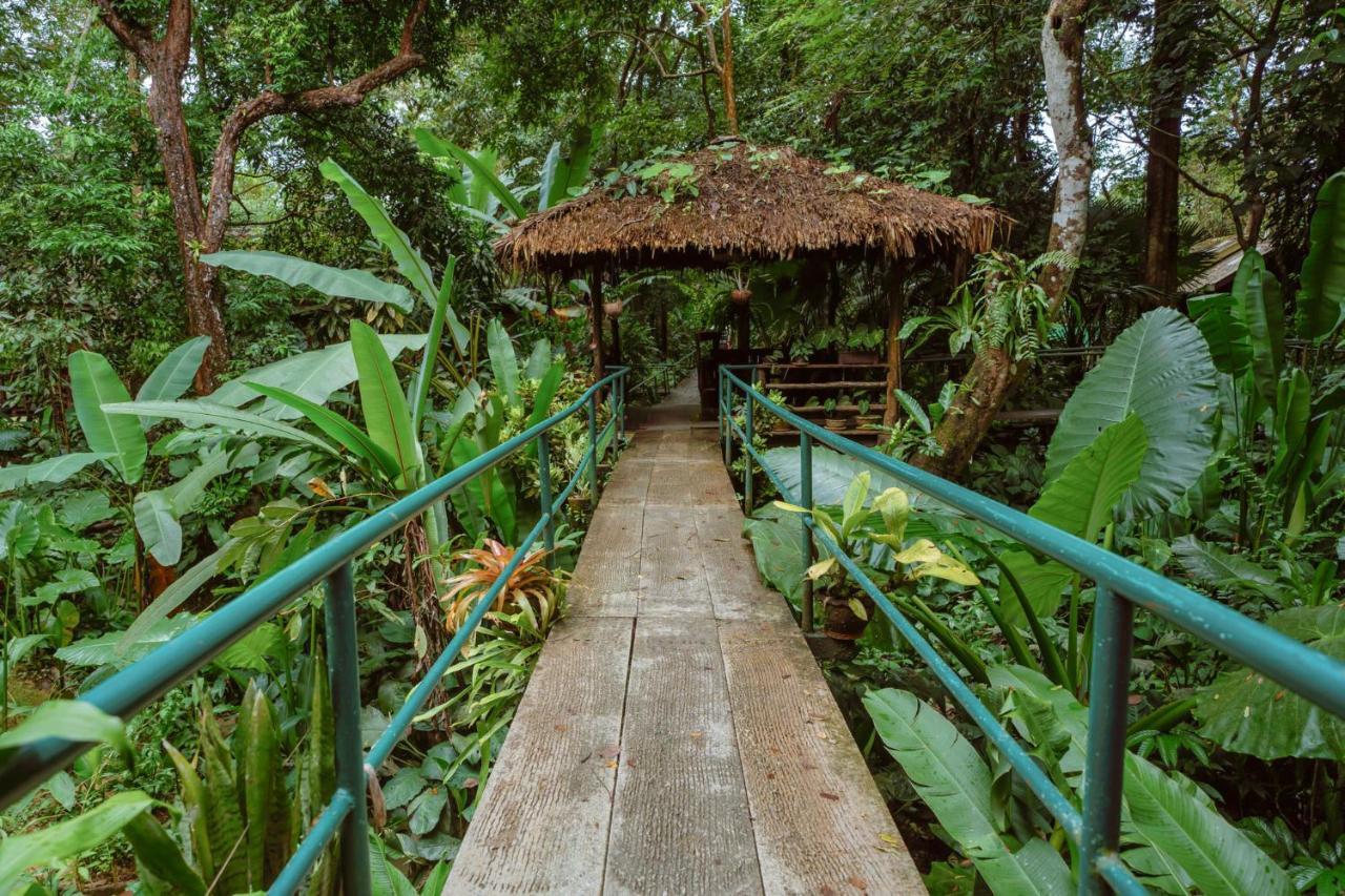 Khao Sok Riverside Cottages Khao Sok National Park Екстериор снимка