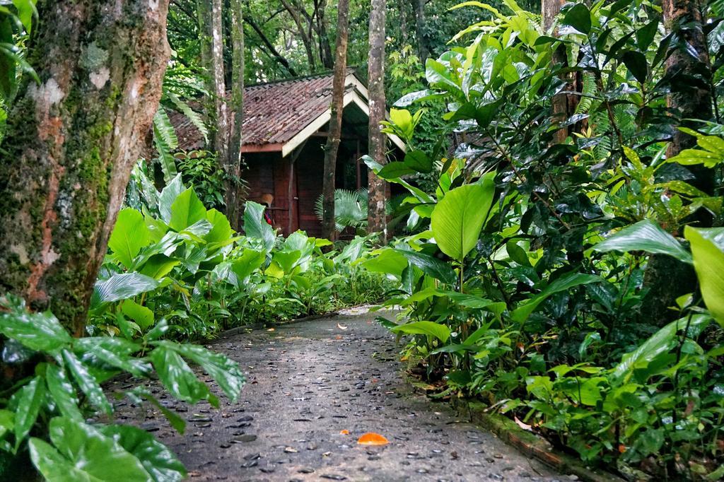 Khao Sok Riverside Cottages Khao Sok National Park Екстериор снимка