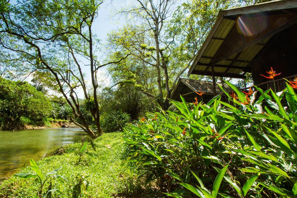 Khao Sok Riverside Cottages Khao Sok National Park Екстериор снимка