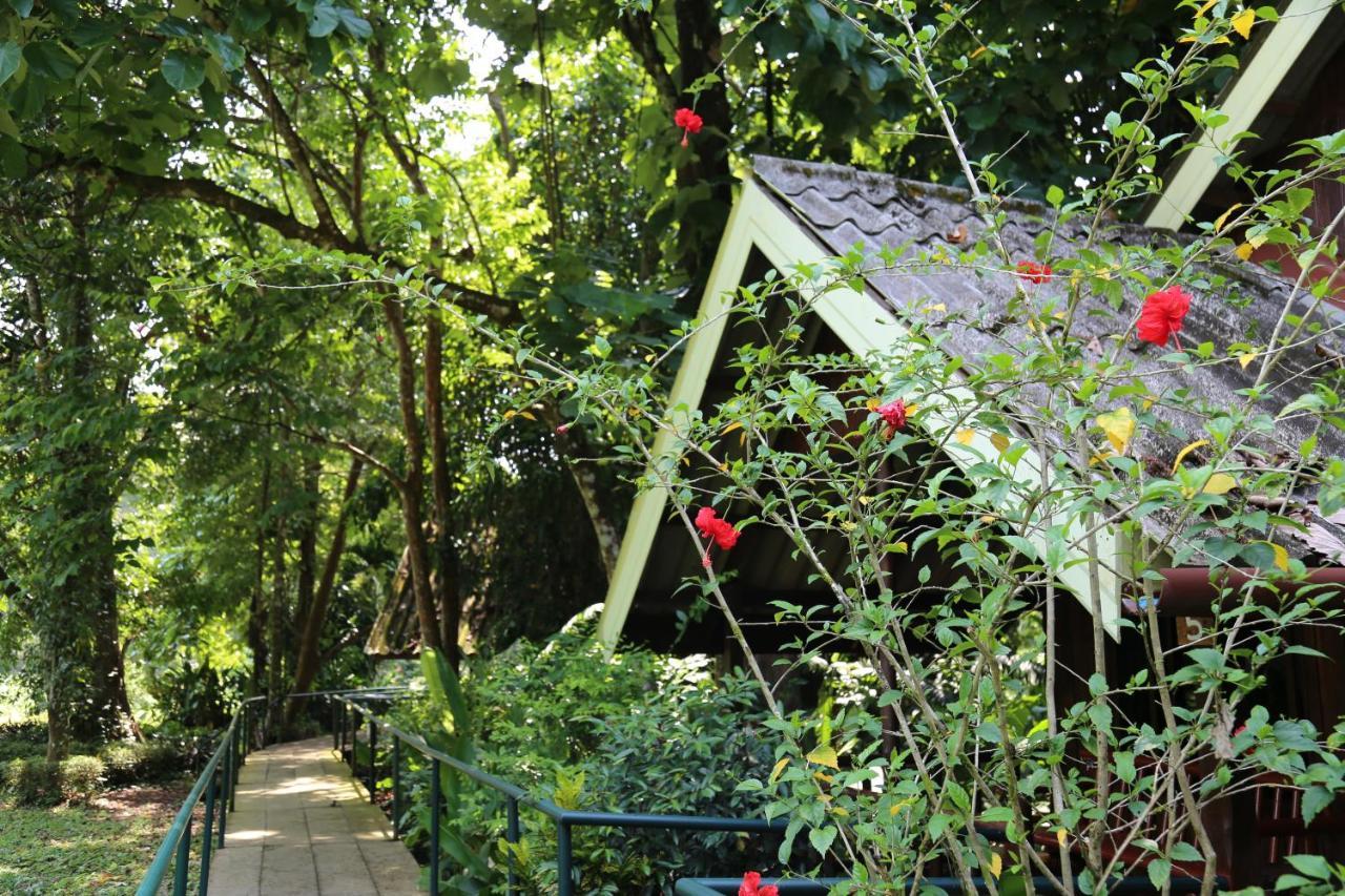 Khao Sok Riverside Cottages Khao Sok National Park Екстериор снимка